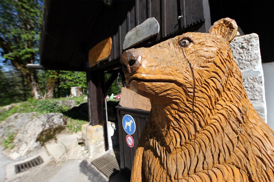 L'ours de la Ferme-Robert au Creux du Van